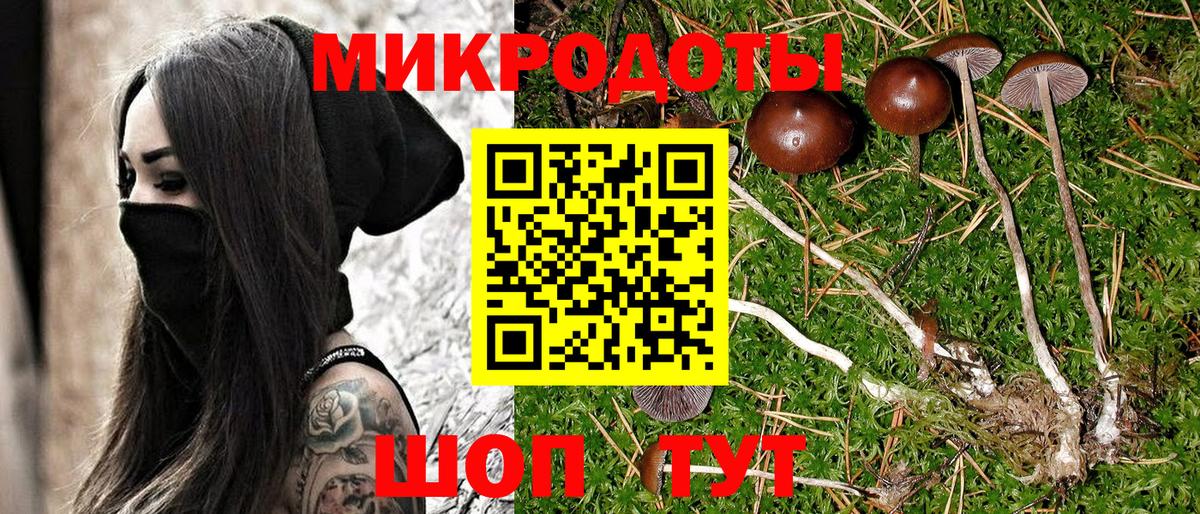 Псилоцибиновые грибы Psilocybe Пыть-Ях