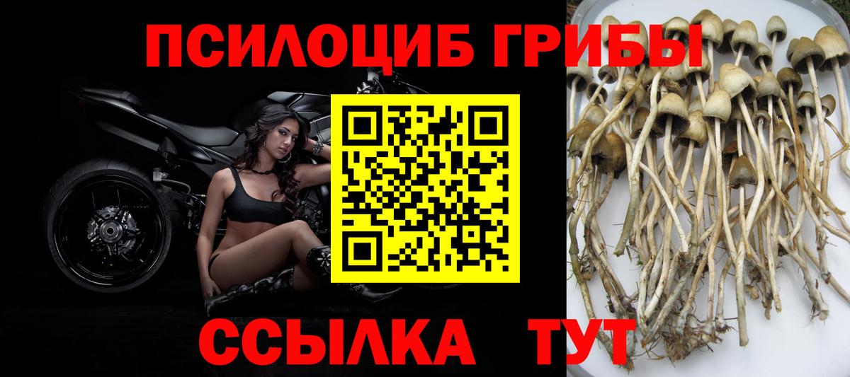 Галлюциногенные грибы прущие грибы  Вход с VPN  Галлюциногенные грибы мицелий  Пыть-Ях 